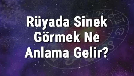 Rüyada Sinek Görmek İslami Yorumu Diyanet