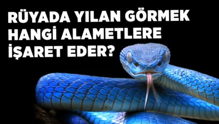 Rüyada Yılan Görmek İslami Yorumu Diyanet
