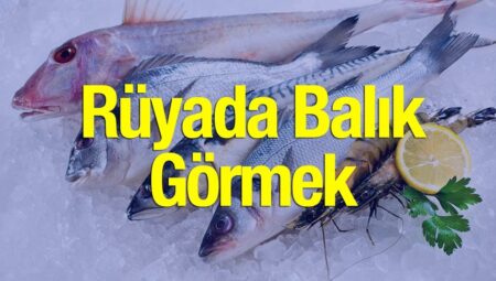 Rüyada Balık Görmek İslami Yorumu Diyanet