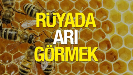 Rüyada Arı Görmek İslami Yorumu Diyanet