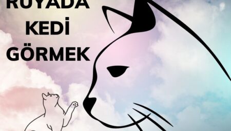 Rüyada Kedi Görmek İslami Yorumu Diyanet
