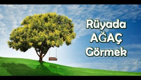 Rüyada Ağaç Görmek İslami Yorumu Diyanet