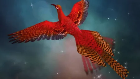 Rüyada Anka Kuşu Görmek İslami Yorumu Diyanet