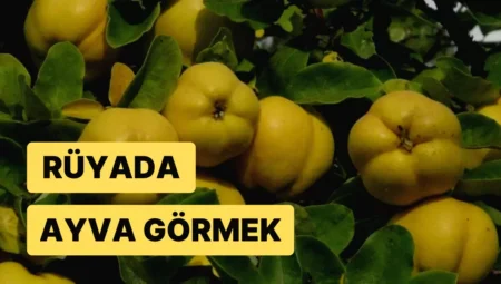 Rüyada Ayva Görmek İslami Yorumu Diyanet