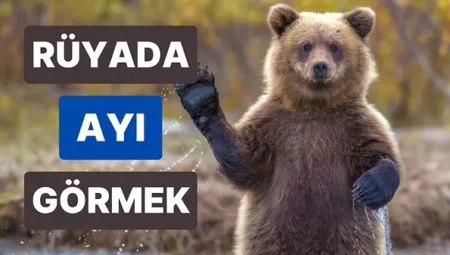 Rüyada Ayı Görmek İslami Yorumu Diyanet
