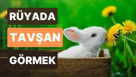 Rüyada Tavşan Görmek İslami Yorumu Diyanet