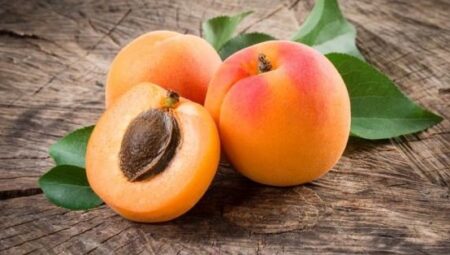 Rüyada Kayısı Görmek İslami Yorumu Diyanet