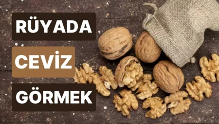 Rüyada Ceviz Görmek İslami Yorumu Diyanet