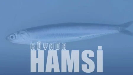 Rüyada Hamsi Balığı Görmek İslami Yorumu Diyanet