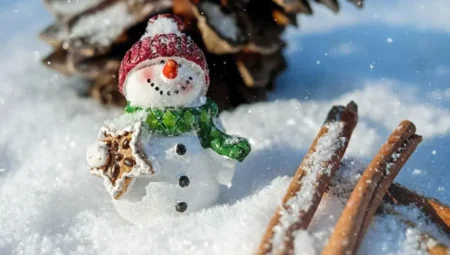 Rüyada Kar Görmek İslami Yorumu Diyanet