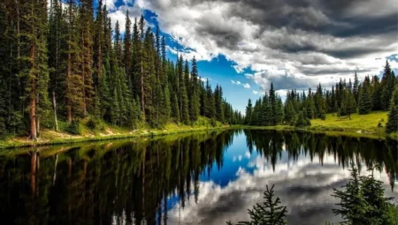 Rüyada Göl Görmek İslami Yorumu Diyanet