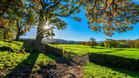 Rüyada Çiftlik Görmek İslami Yorumu Diyanet