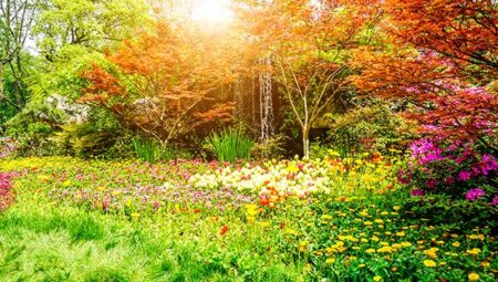 Rüyada Çiçek Görmek İslami Yorumu Diyanet