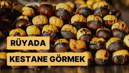 Rüyada Kestane Görmek İslami Yorumu Diyanet