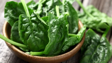 Rüyada Ispanak Görmek İslami Yorumu Diyanet