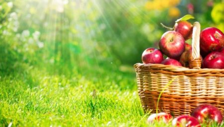 Rüyada Sepet Görmek İslami Yorumu Diyanet